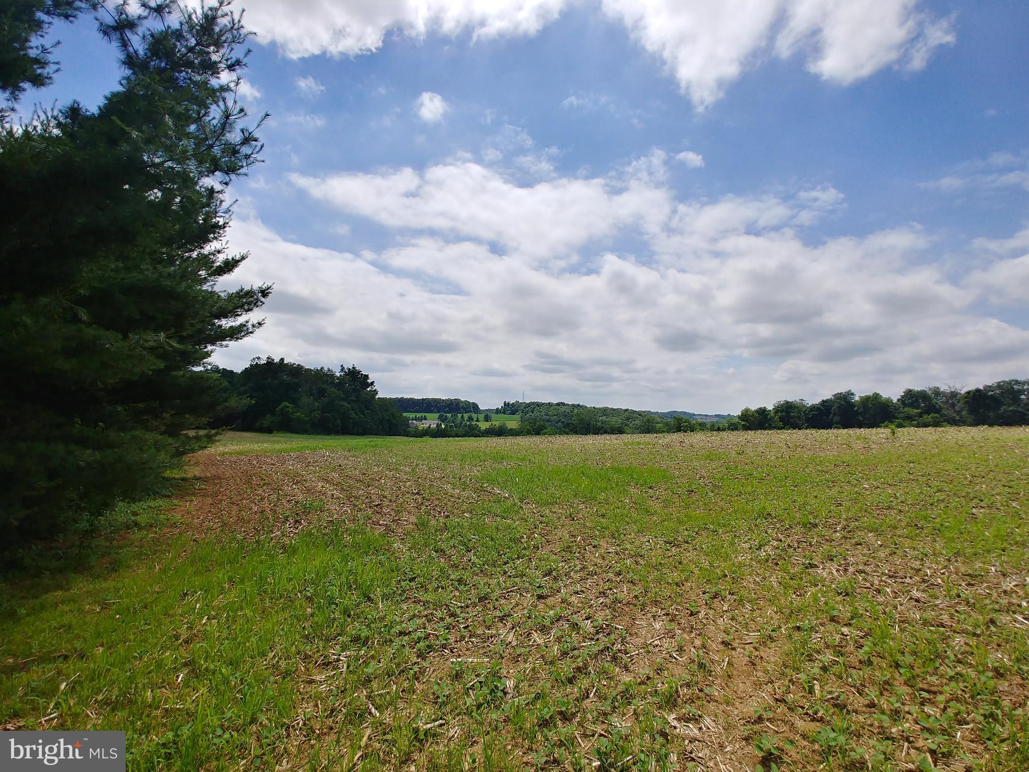 Lot Bridgeview Bridgeview Road Stewartstown, PA 17363 - Photo 8 of 10 Gallery Image 8