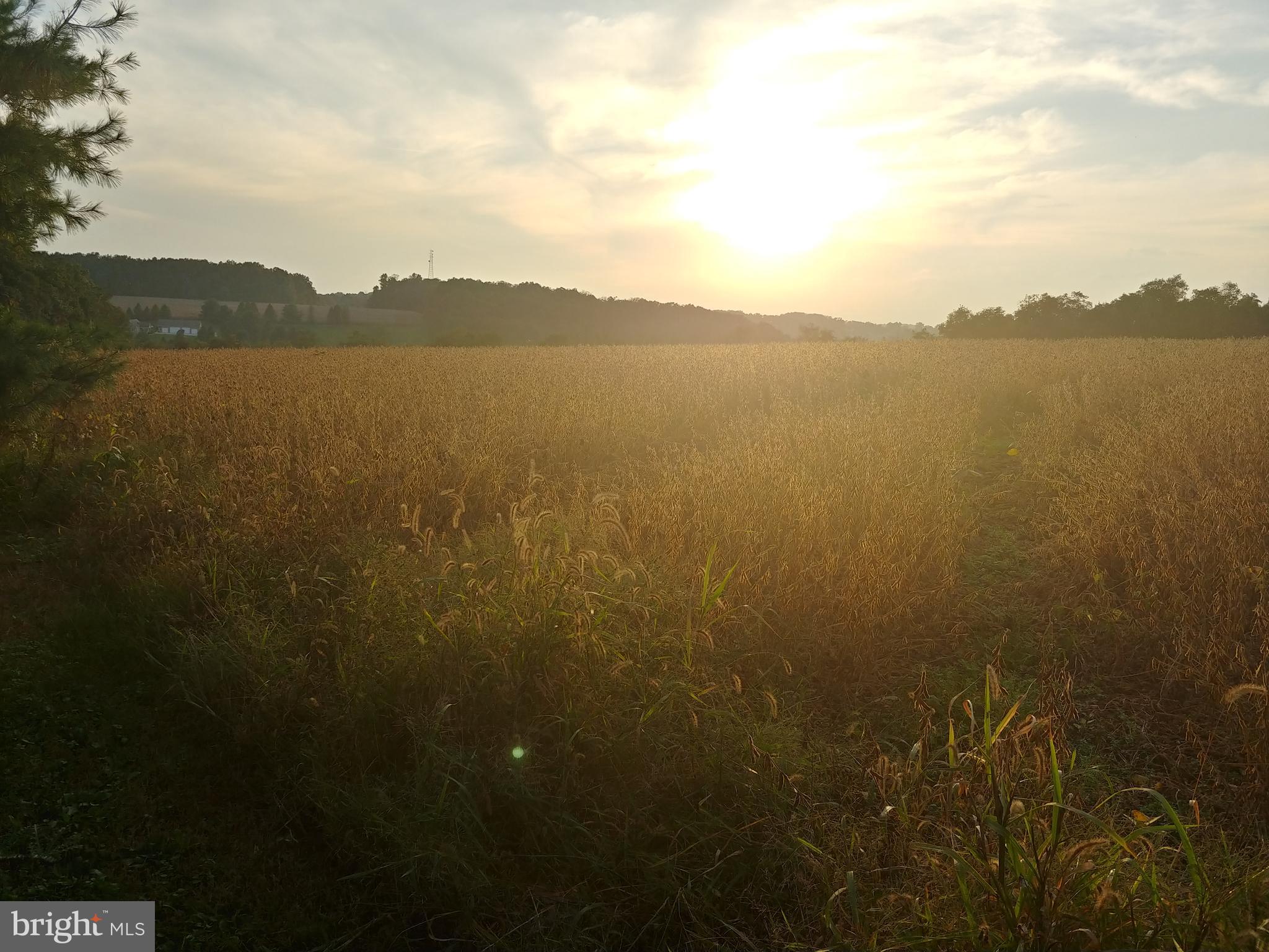 Lot Bridgeview Bridgeview Road Stewartstown, PA 17363 - Photo 10 of 10 Gallery Image 10