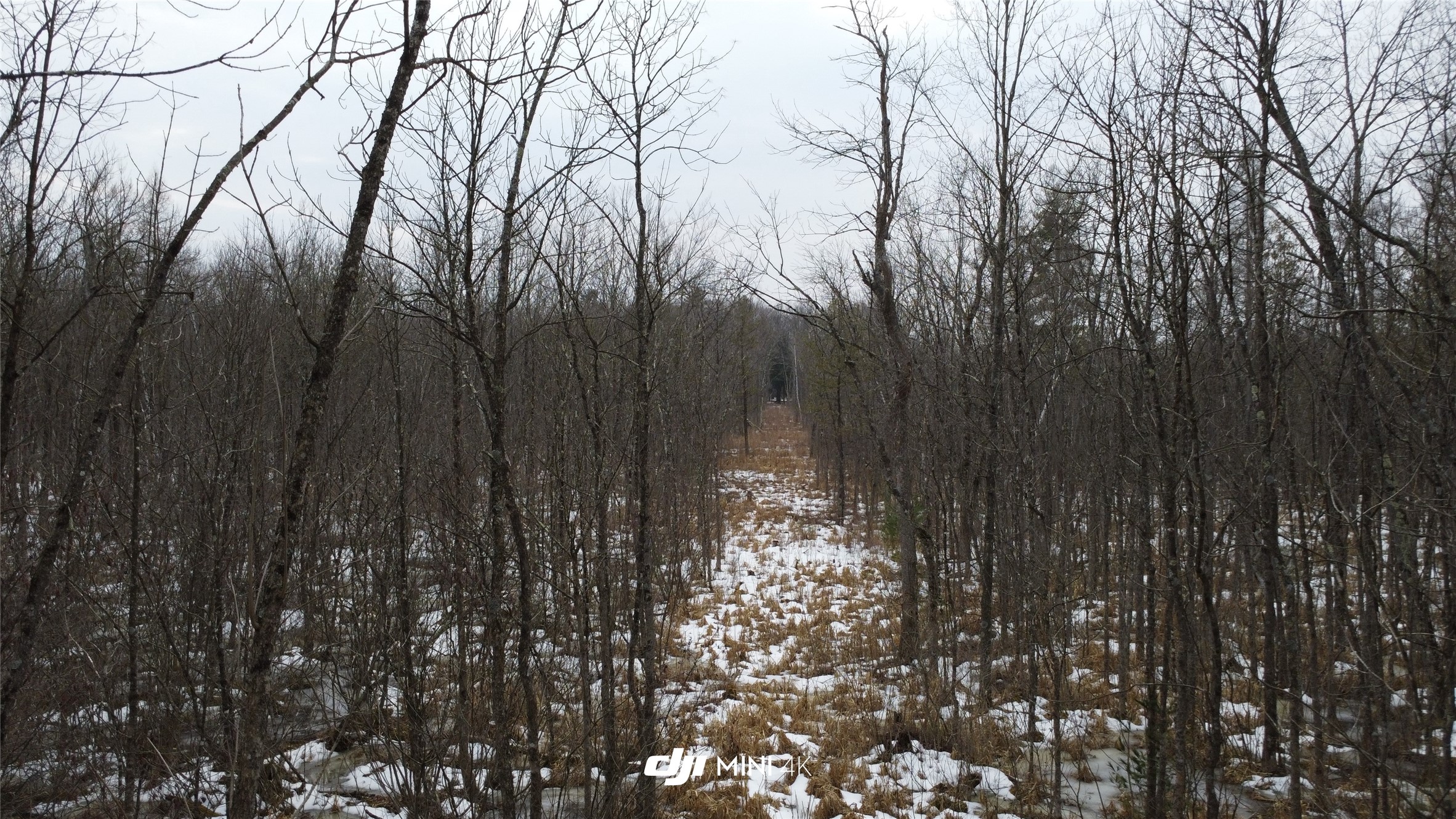 Ooo Lake Road Clintonville, WI 54929 - Photo 2 of 36