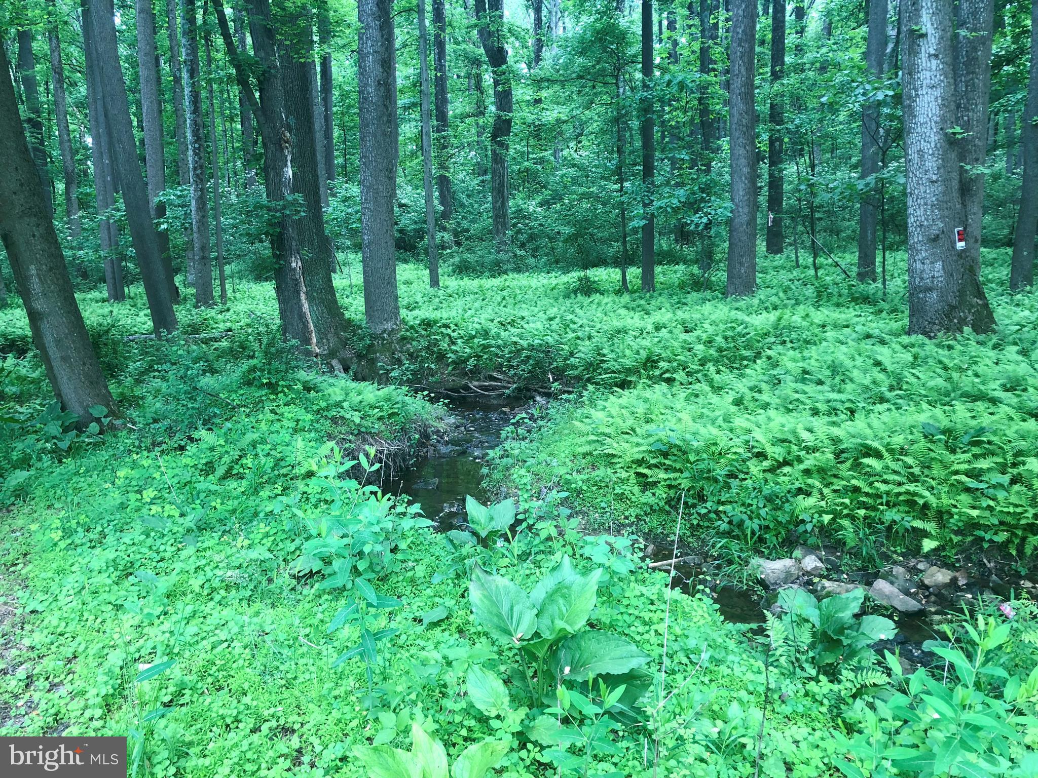 14550 Good Hope Road Silver Spring, MD 20905 - Photo 43 of 57