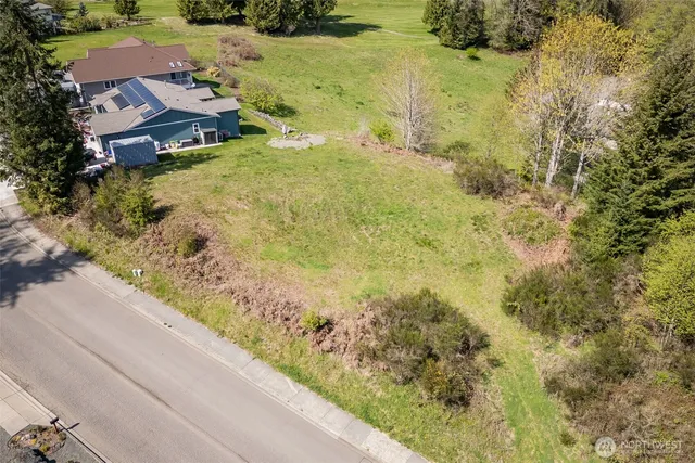 a view of a yard with large trees