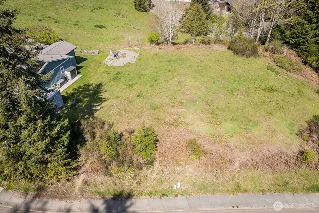 a view of a yard with an outdoor space