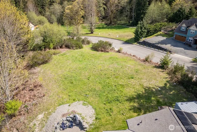 a view of a yard with plants
