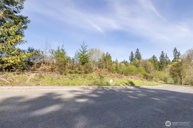 a view of a yard and mountain view