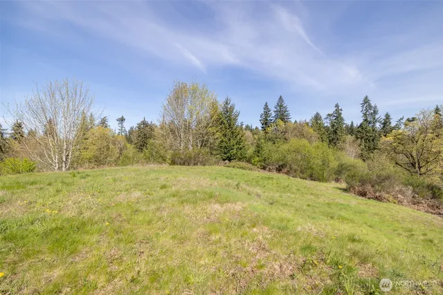 a big yard with lots of green space and house in the back