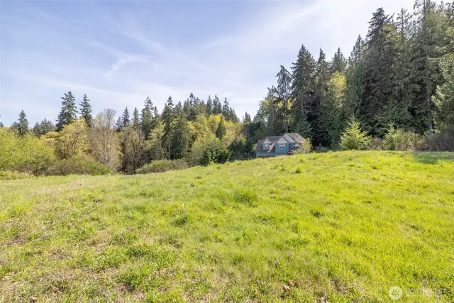 a view of a yard with an trees