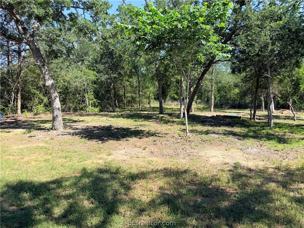 281 Redberry Road Somerville, TX 77879 - Photo 6 of 15