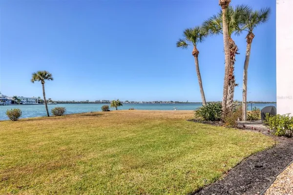 a view of a lake with a palm tree