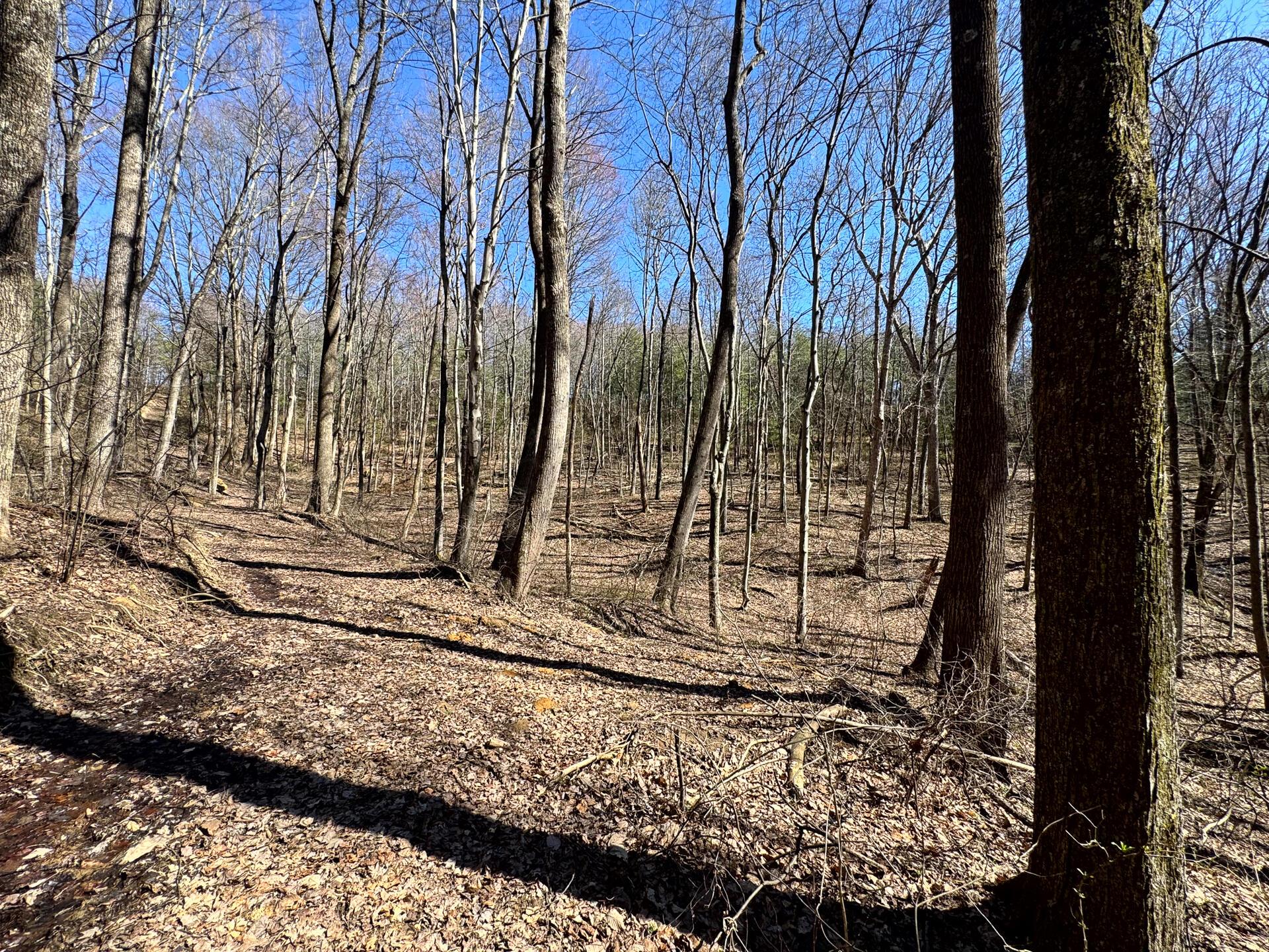 1031 Poplar Ridge Road, Unit PONDS POPLAR RIDGE TRACT 16) Gallipolis, OH 45631 - Photo 11 of 19 CT-13