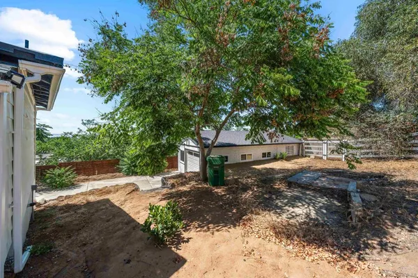 a view of a backyard with trees