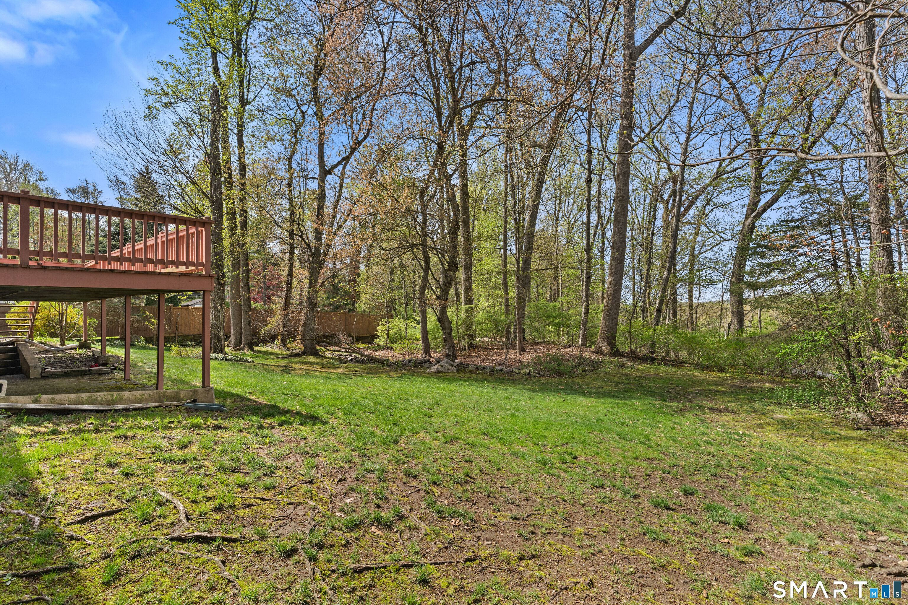 251 Shelter Rock Road Fairfield, CT 06825 - Photo 38 of 38 a view of a yard with plants and trees