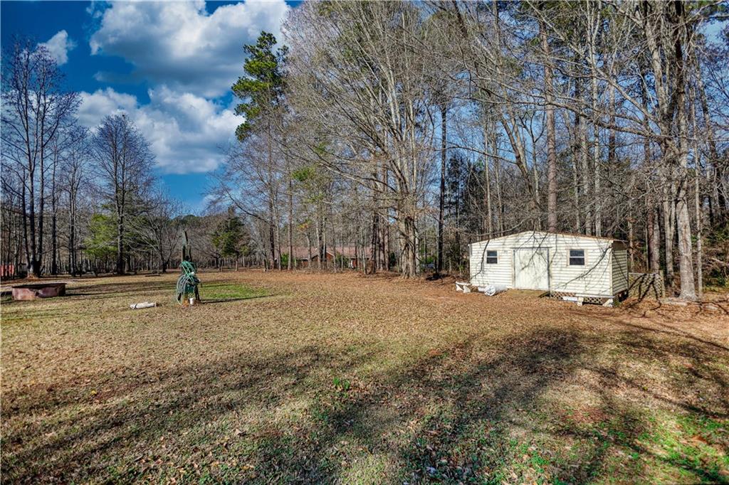 12510 Highway 36 Covington, GA 30014 - Photo 24 of 31 a park view with large trees