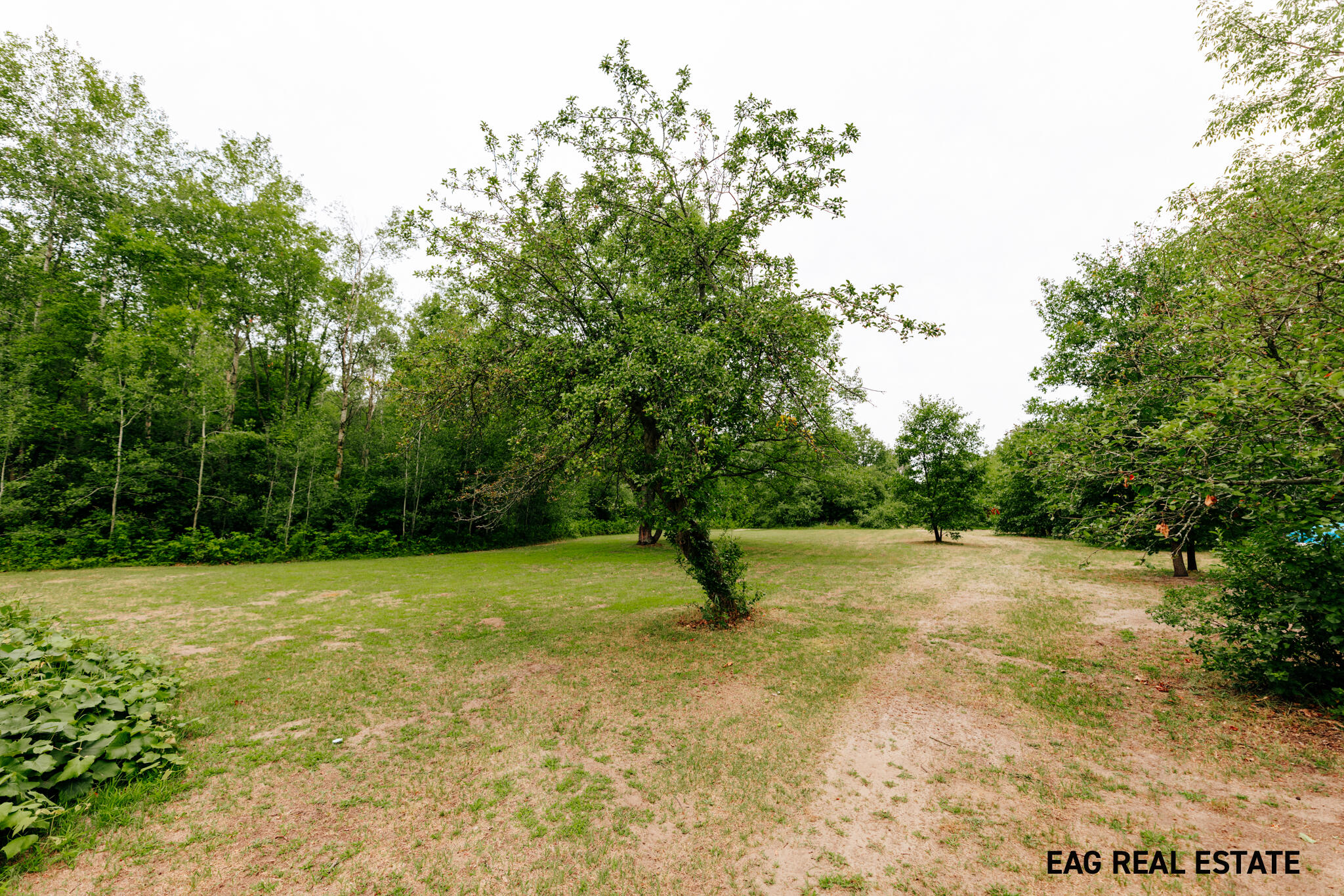 1983 South Sullivan Road Ravenna, MI 49451 - Photo 56 of 58 434A9669