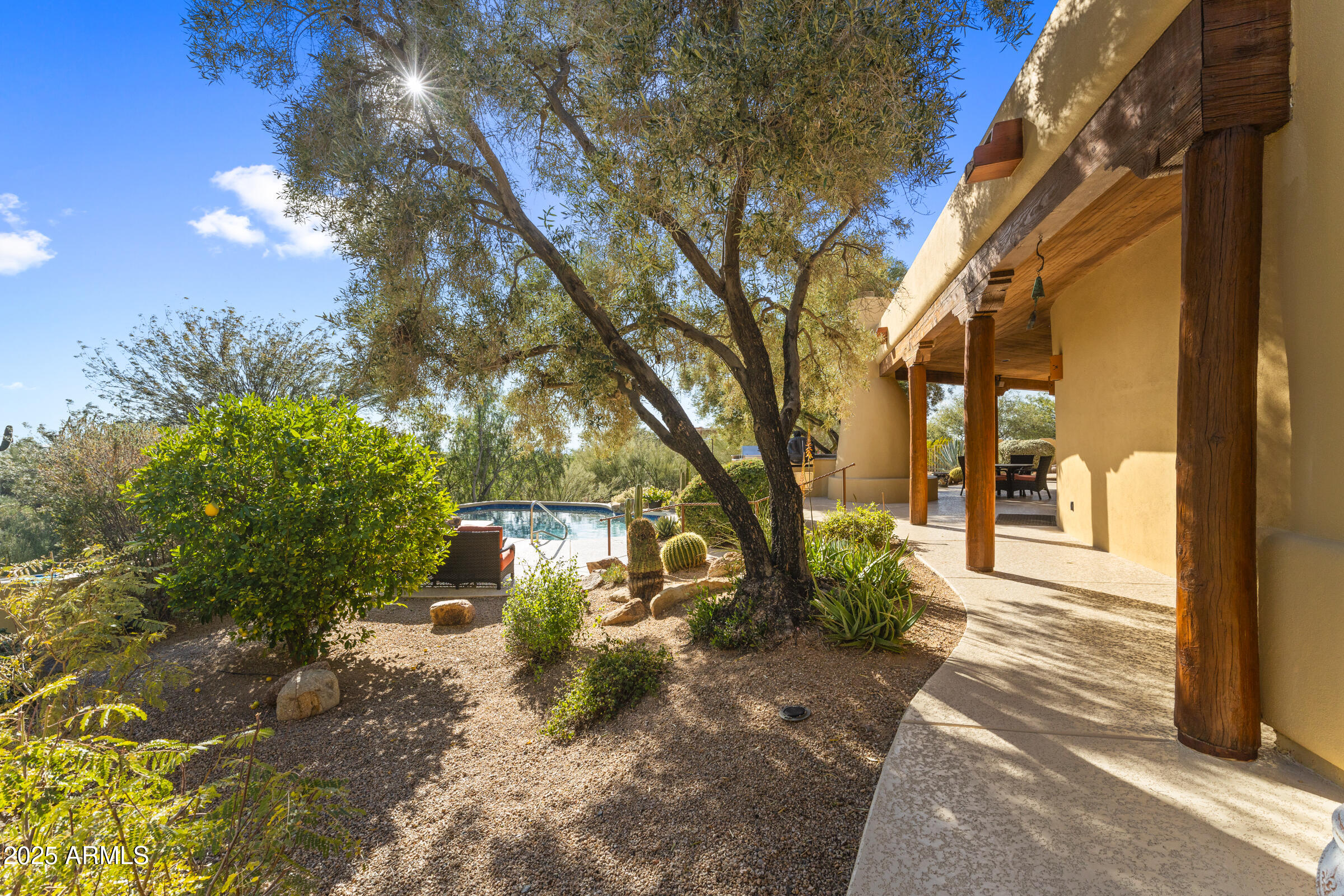 36663 Wild Flower Road Carefree, AZ 85377 - Photo 57 of 79 a view of a yard with plants and trees