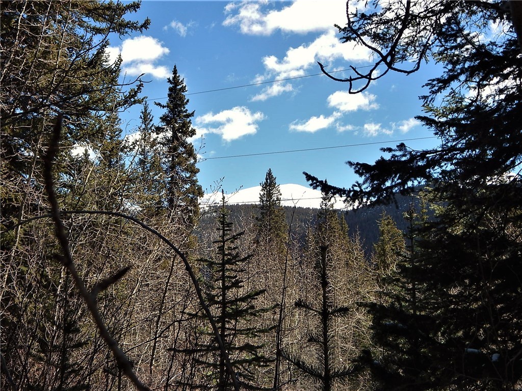 589 Mine Dump Road Alma, CO 80420 - Photo 23 of 26 Gallery Image 23