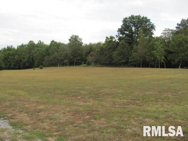 Lot 22 Lot Way Marion, IL 62959 - Photo 2 of 2 Gallery Image 2