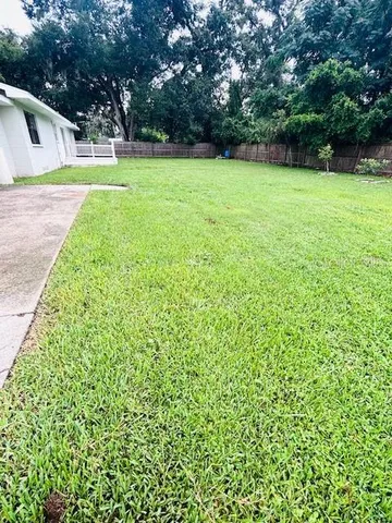 a view of a backyard