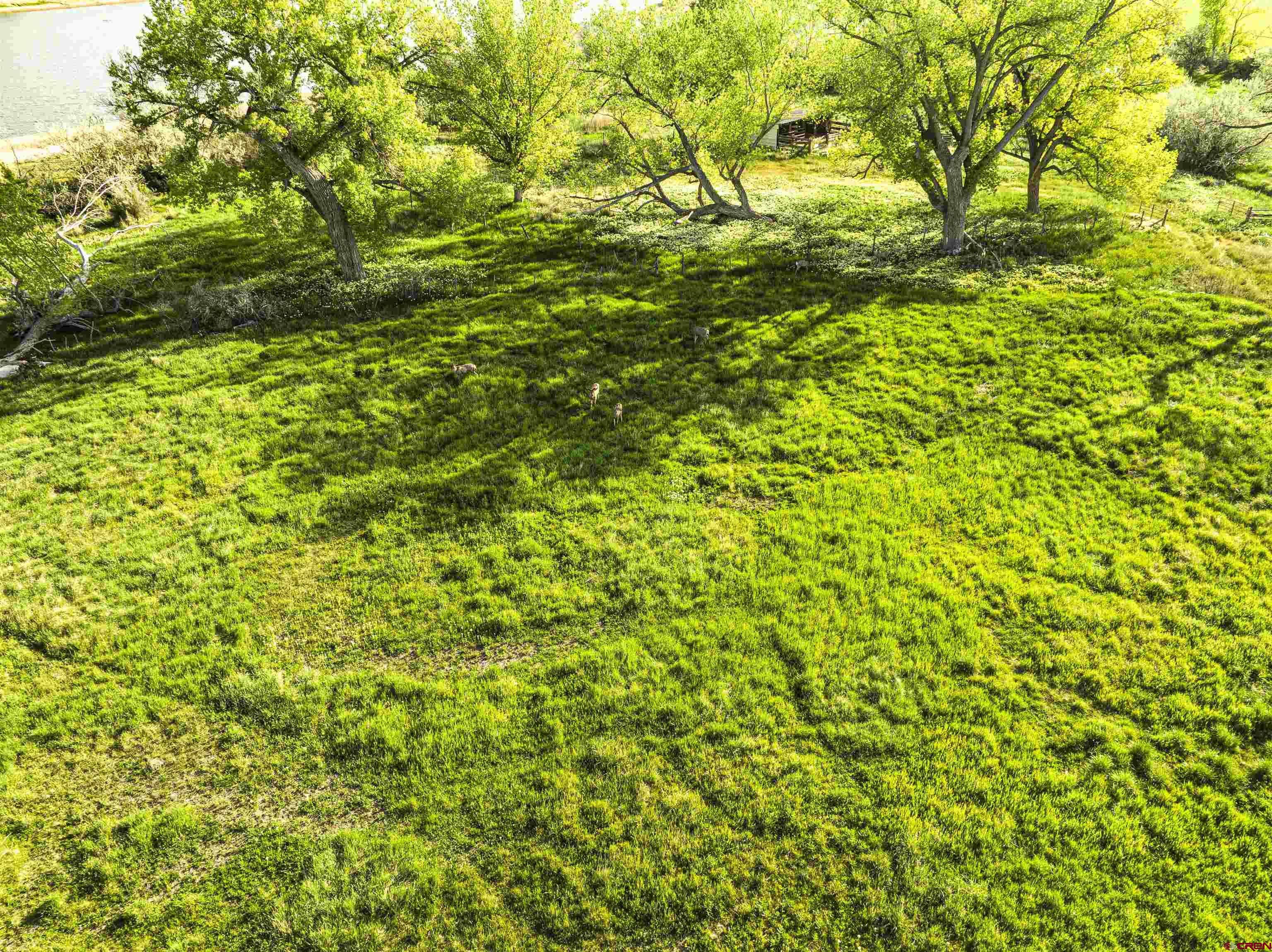 a view of a big yard of a building