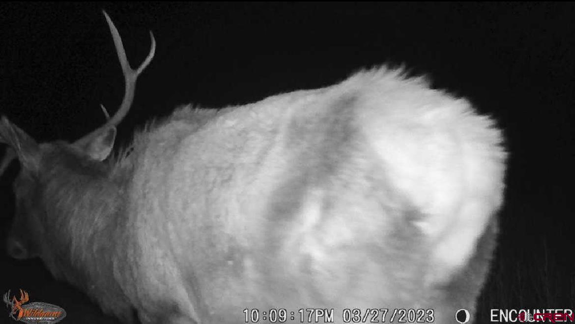 35971 Back River Road Hotchkiss, CO 81419 - Photo 19 of 20 a close view of tap