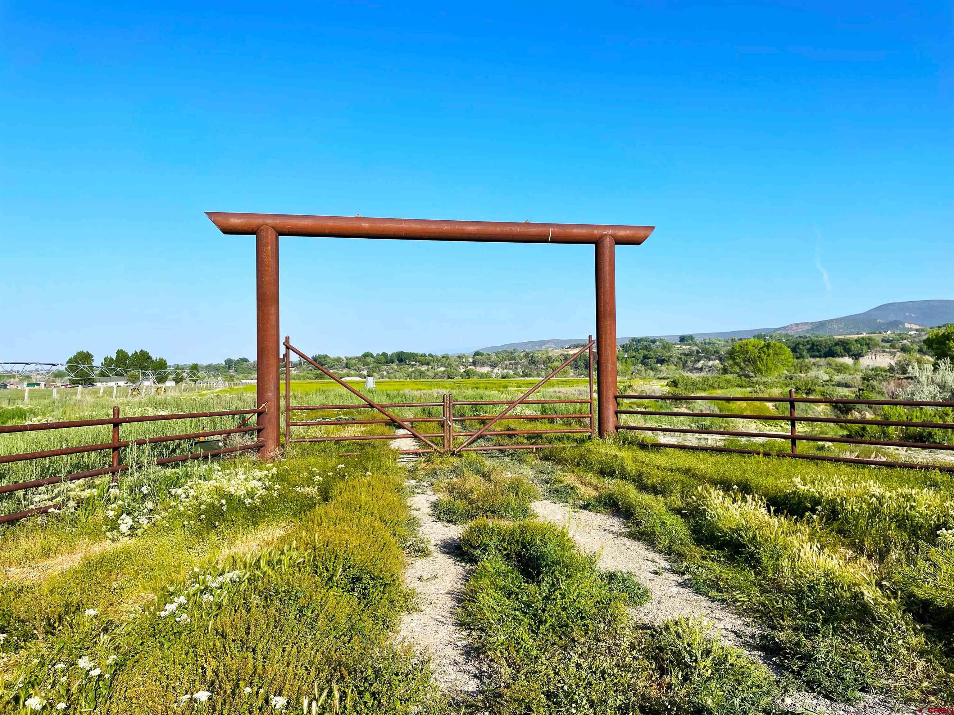 35971 Back River Road Hotchkiss, CO 81419 - Photo 6 of 20 a view of a big yard with an outdoor space