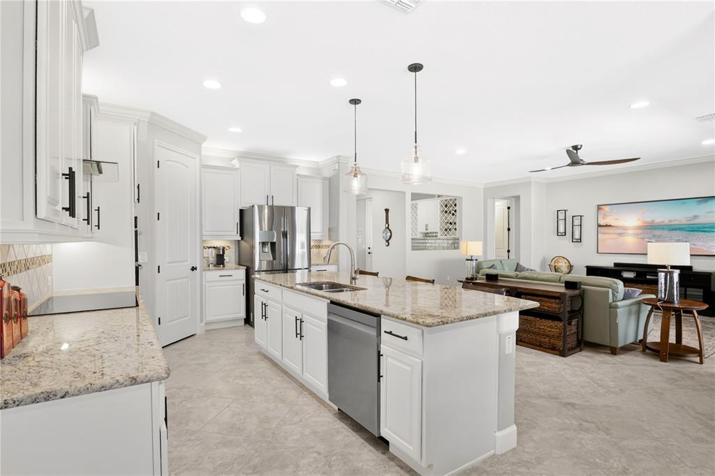 21345 Sullivan Ranch Boulevard Mount Dora, FL 32757 - Photo 3 of 63