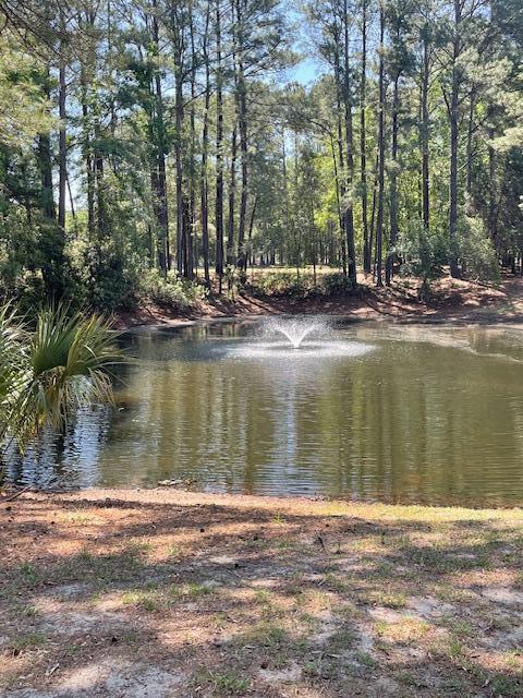 7869 Montview Road North Charleston, SC 29418 - Photo 22 of 25 Park
