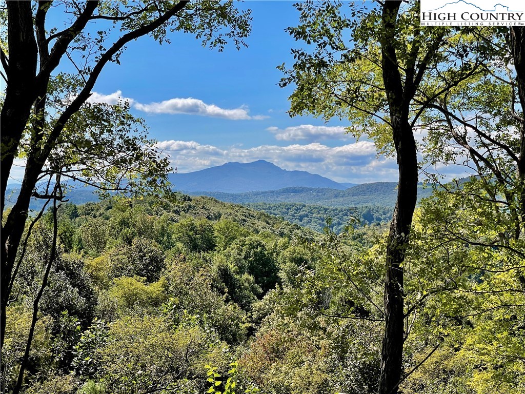 Wild Turkey Ridge Boone, NC 28607 - Photo 11 of 23 Gallery Image 11