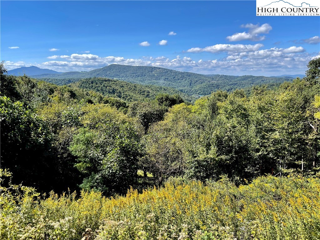 Wild Turkey Ridge Boone, NC 28607 - Photo 15 of 23 Gallery Image 15