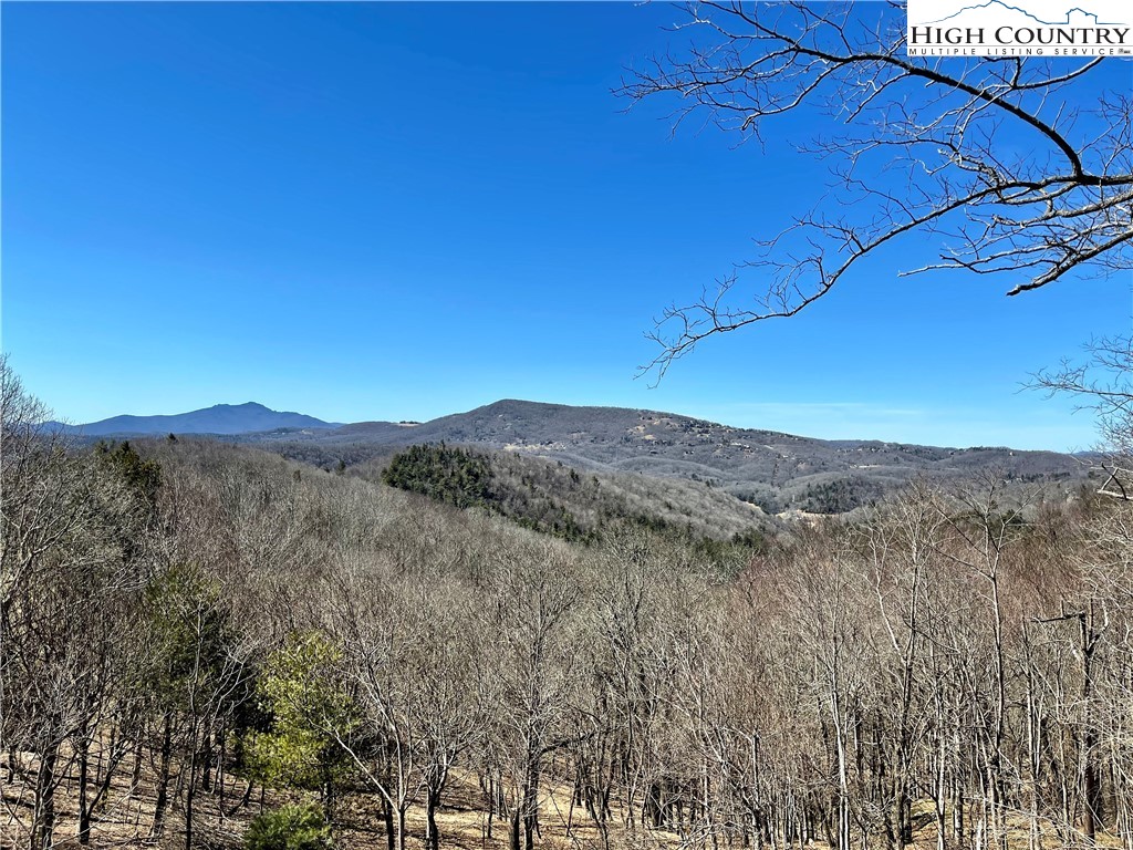 Wild Turkey Ridge Boone, NC 28607 - Photo 17 of 23 Gallery Image 17