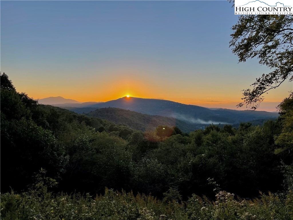 Wild Turkey Ridge Boone, NC 28607 - Photo 18 of 23 Gallery Image 18