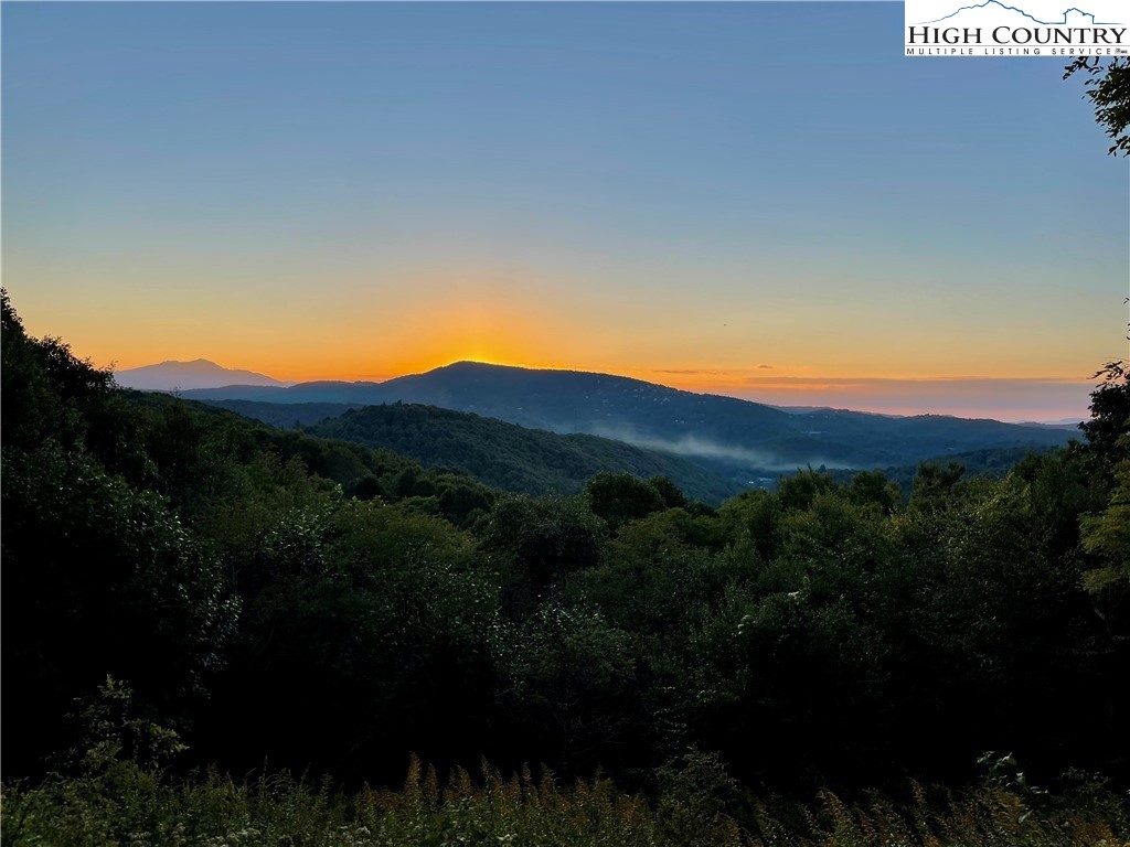 Wild Turkey Ridge Boone, NC 28607 - Photo 19 of 23 Gallery Image 19
