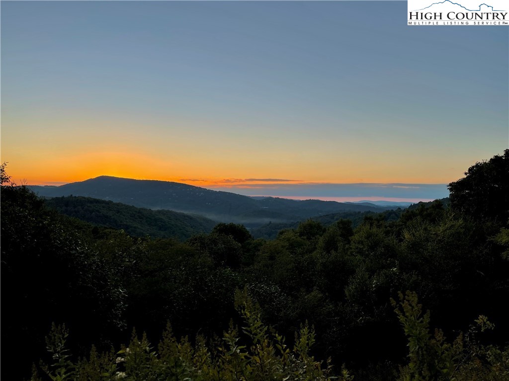 Wild Turkey Ridge Boone, NC 28607 - Photo 21 of 23 Gallery Image 21