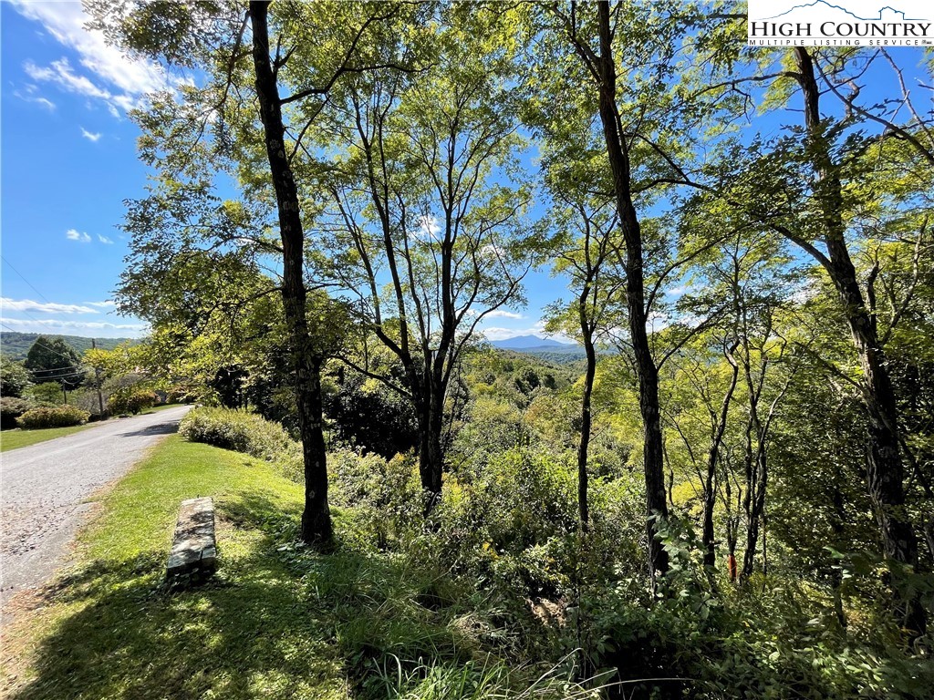 Wild Turkey Ridge Boone, NC 28607 - Photo 10 of 23 Gallery Image 10