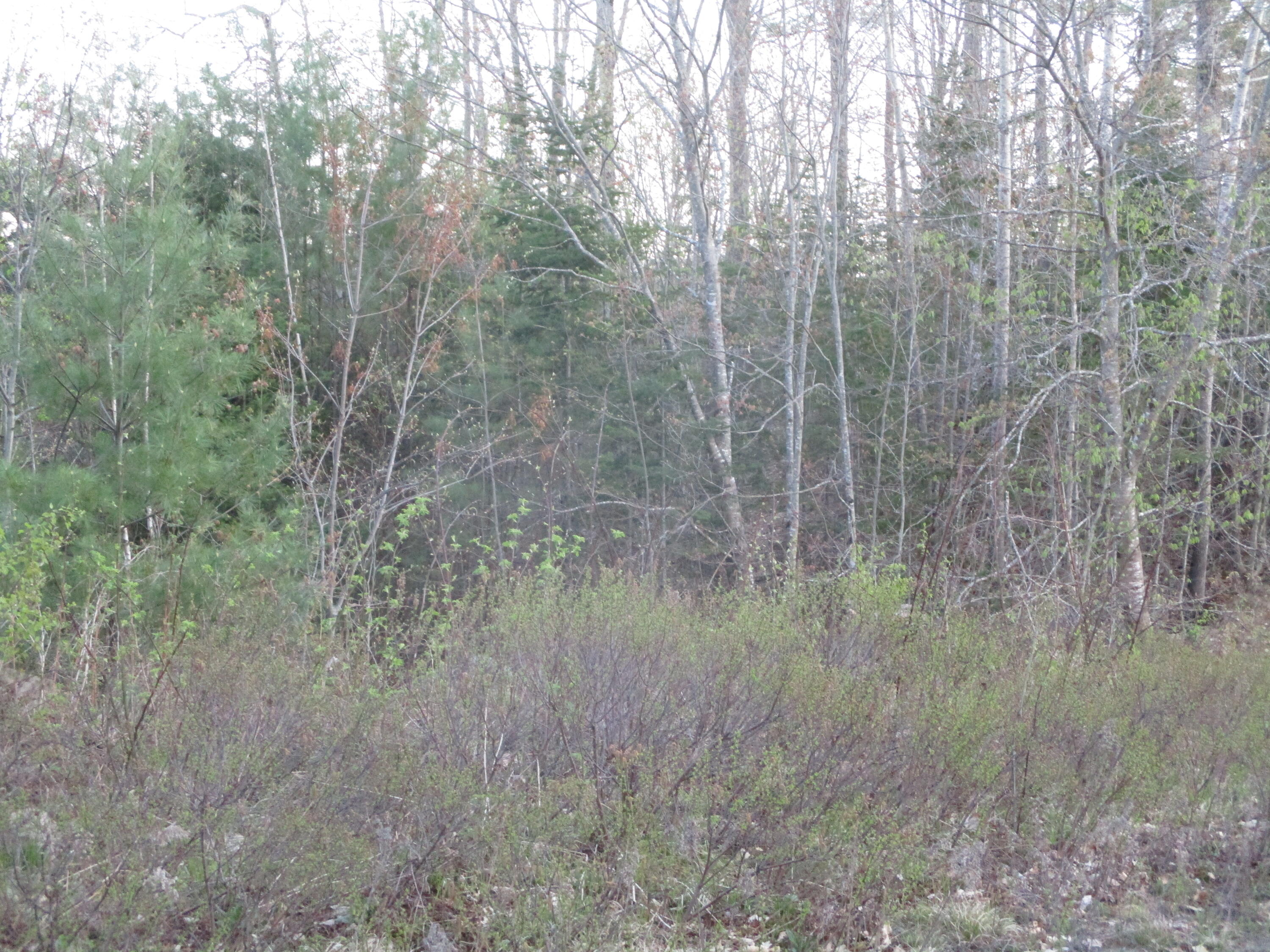 3 Joshuas Way Naples, ME 04055 - Photo 1 of 1 IMG_1674