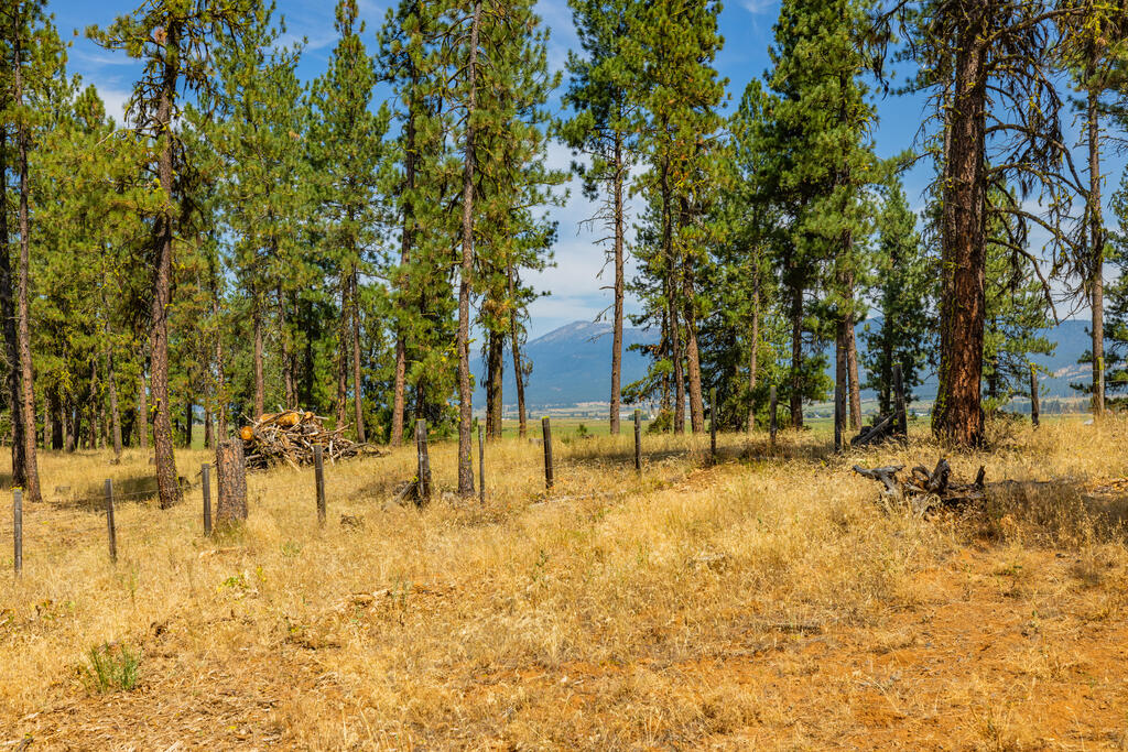 Lot 10 Timber Ridge Drive, Unit 10 New Meadows, ID 83654 - Photo 13 of 20 Gallery Image 13