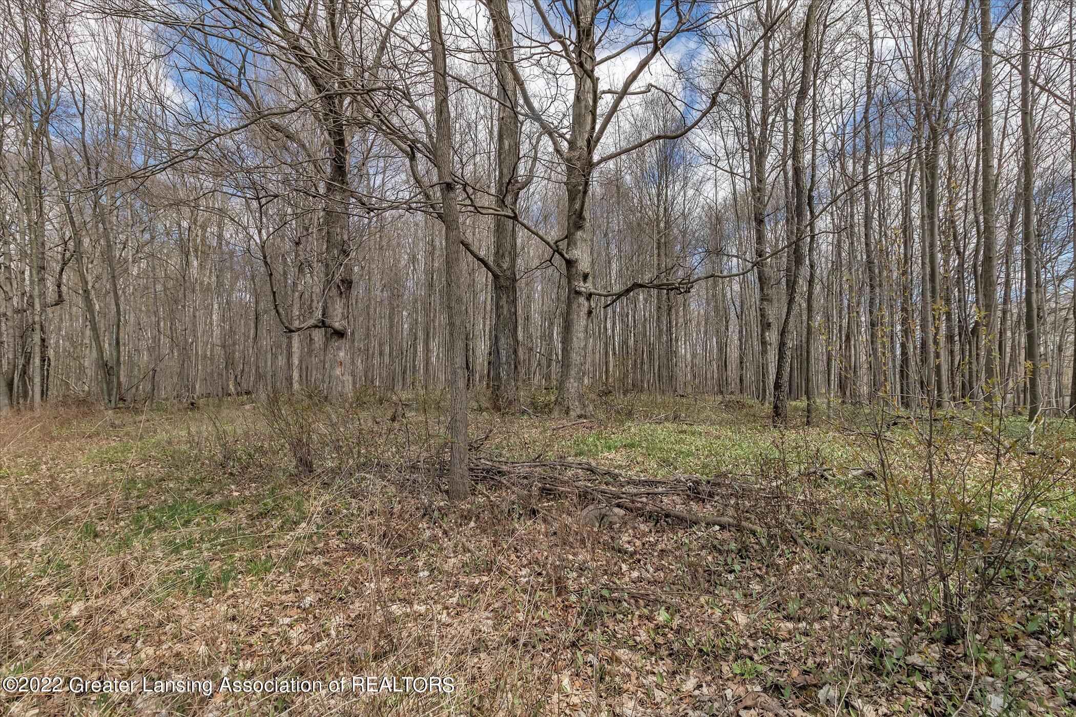 13530 Kenyon Road Grand Ledge, MI 48837 - Photo 41 of 51 43-13530-Kenyon-Rd-WindowStill-Real-Esta