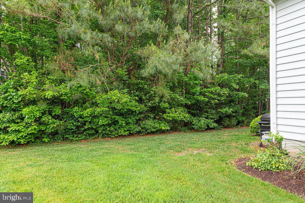 7 Long Point Court Ocean Pines, MD 21811 - Photo 52 of 53 Back Yard