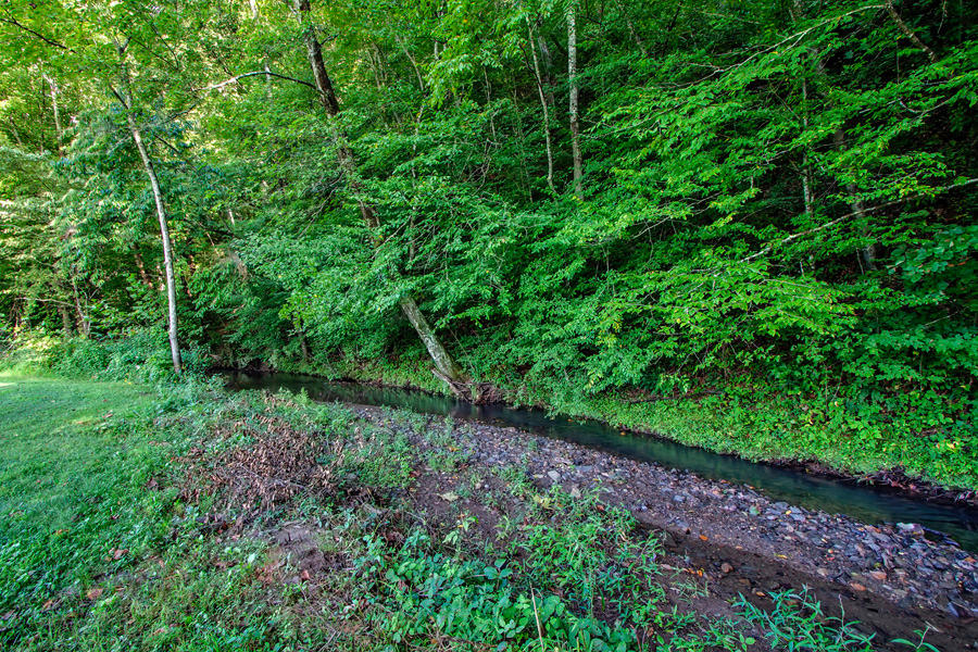 792 Mays Valley Road Harriman, TN 37748 - Photo 39 of 40 39_MaysValleyRoad_792_Creek