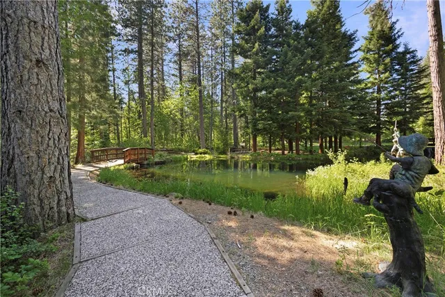 $235,000 | 17214 Manzanita Street, Stirling City, CA 95978