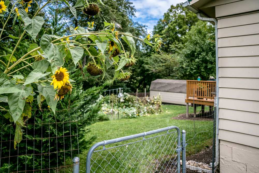 209 West Riverside Drive Timberville, VA 22853 - Photo 18 of 24 Gallery Image 18