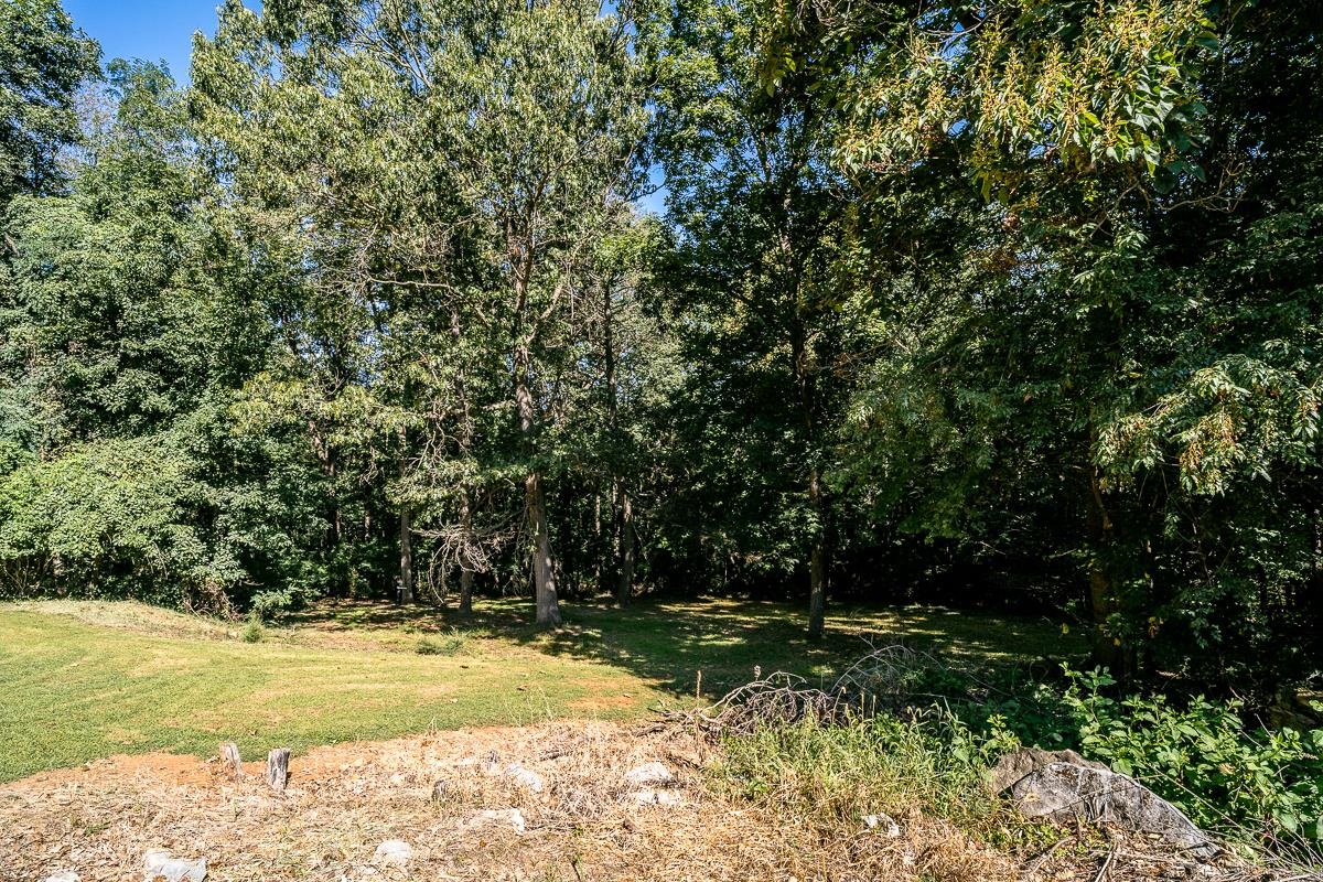173 Ridgetop Drive Weyers Cave, VA 24486 - Photo 65 of 75 Gallery Image 65