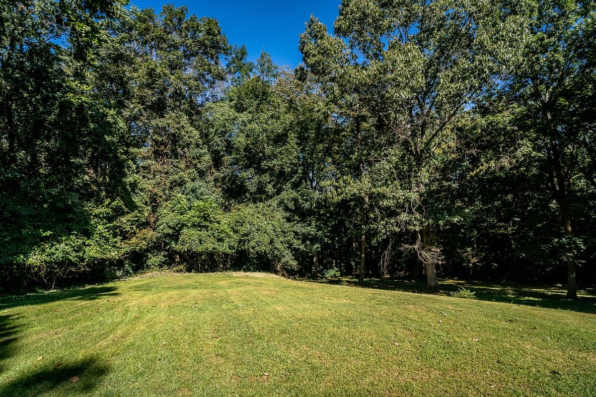 173 Ridgetop Drive Weyers Cave, VA 24486 - Photo 66 of 75 Gallery Image 66
