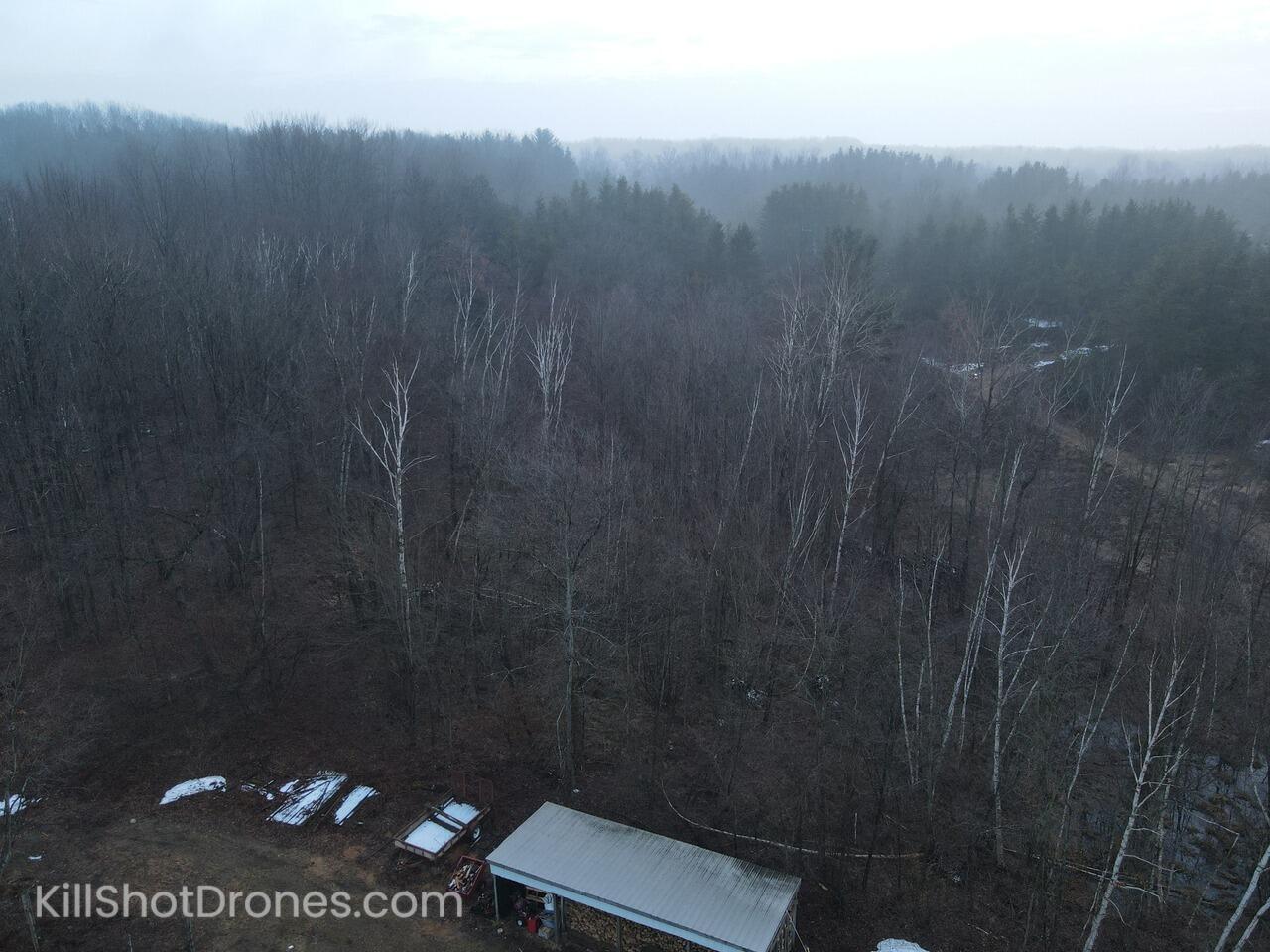 6988 East 16 Mile Road Reed City, MI 49677 - Photo 39 of 48 DJI_0329