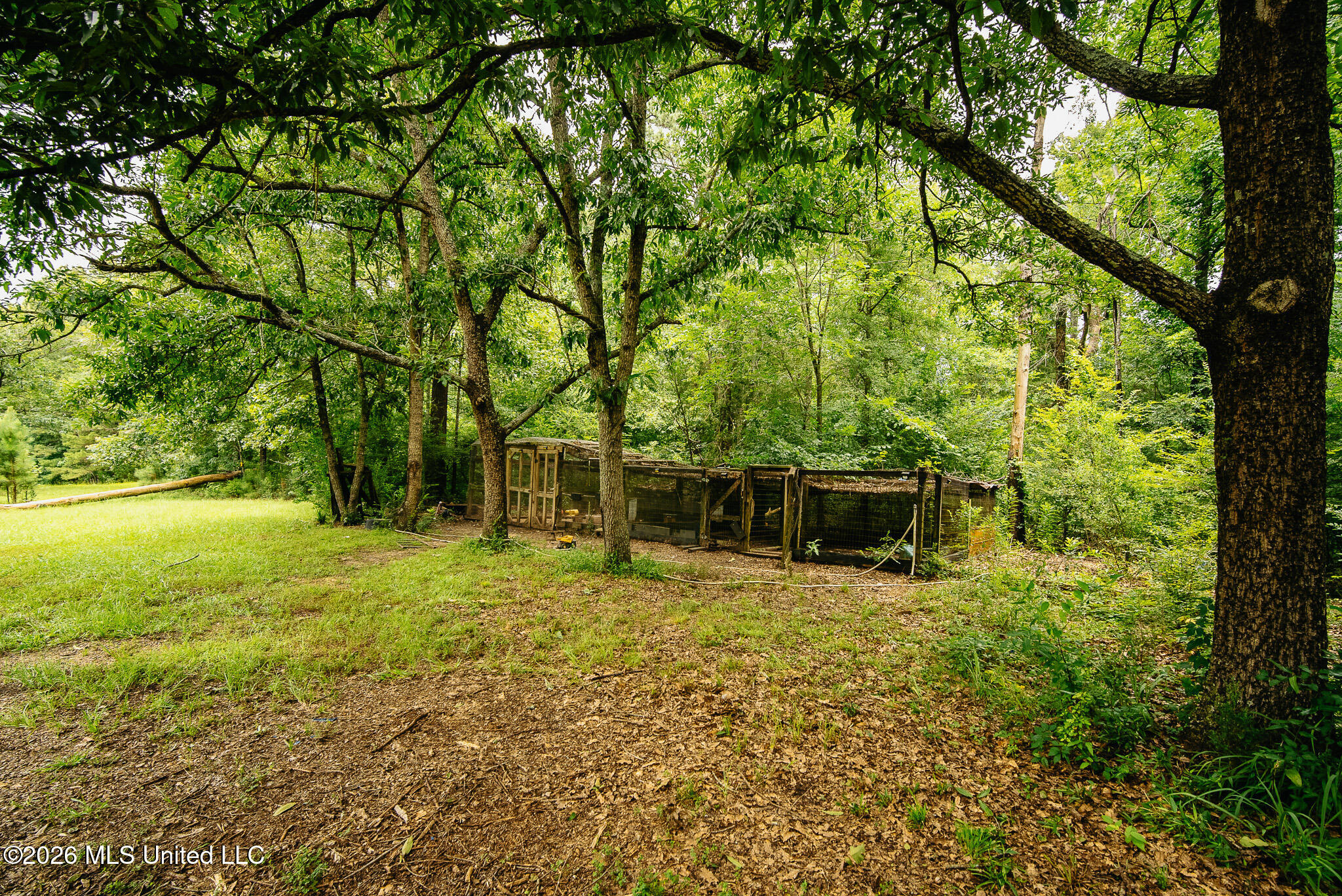 2139 Warren Hood Road Hermanville, MS 39086 - Photo 108 of 115 Chicken Coop
