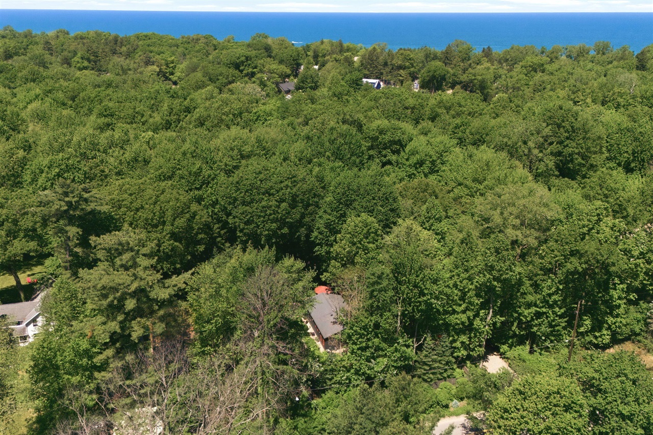 15724 Locke Road Union Pier, MI 49129 - Photo 40 of 42
