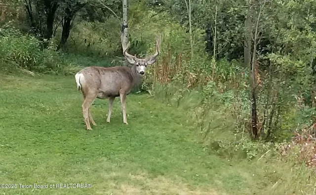$2,195,000 | 1035 Deer Creek Drive, Jackson, WY 83001