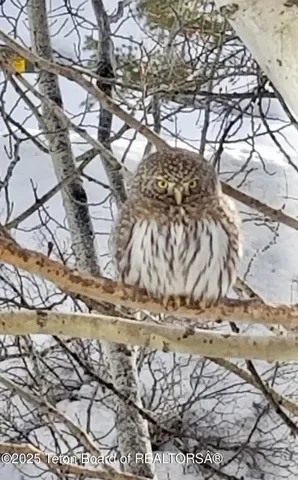 $2,195,000 | 1035 Deer Creek Drive, Jackson, WY 83001