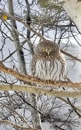 $2,195,000 | 1035 Deer Creek Drive, Jackson, WY 83001