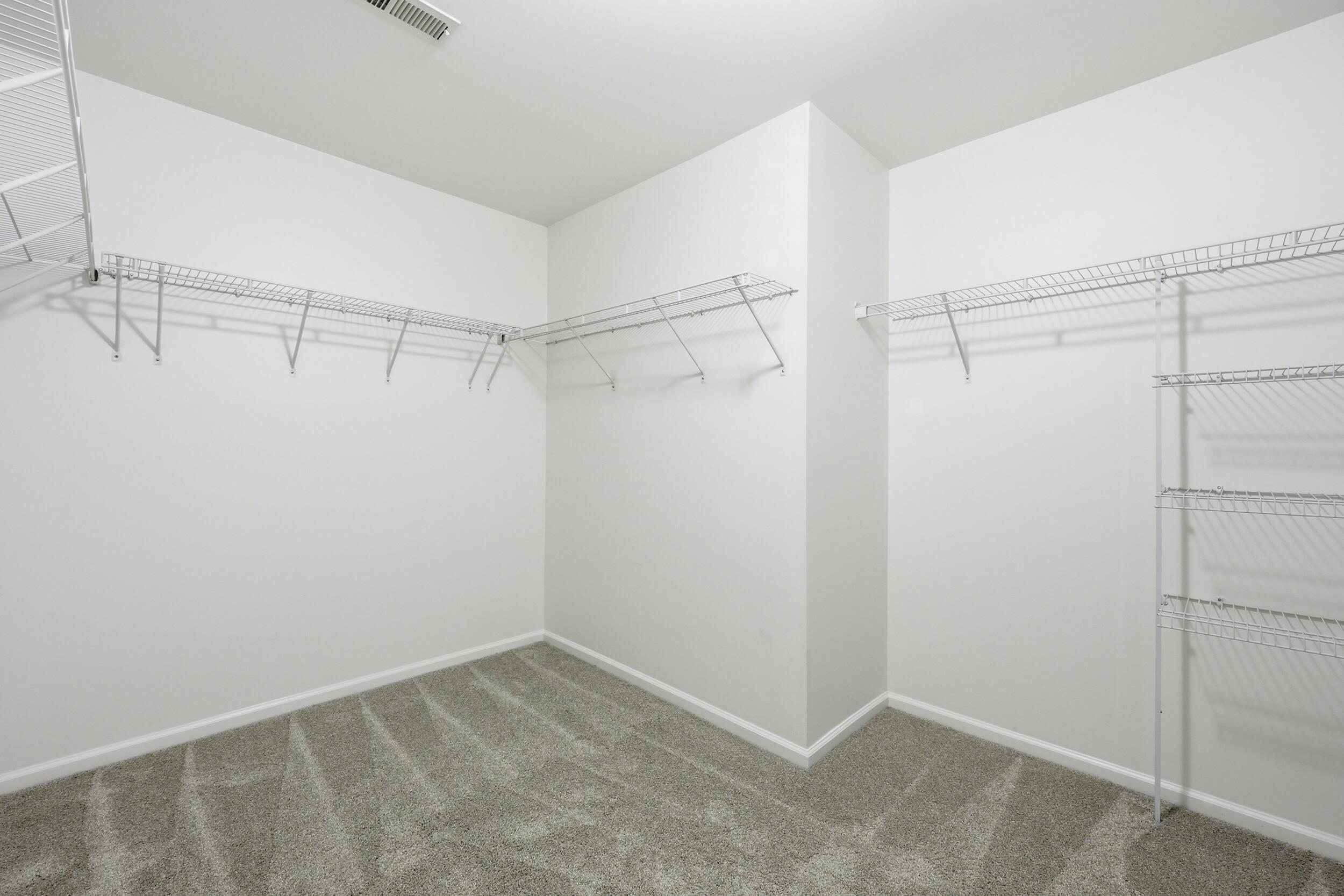 338 Deep River Road Summerville, SC 29486 - Photo 18 of 36 Primary Walk-in Closet