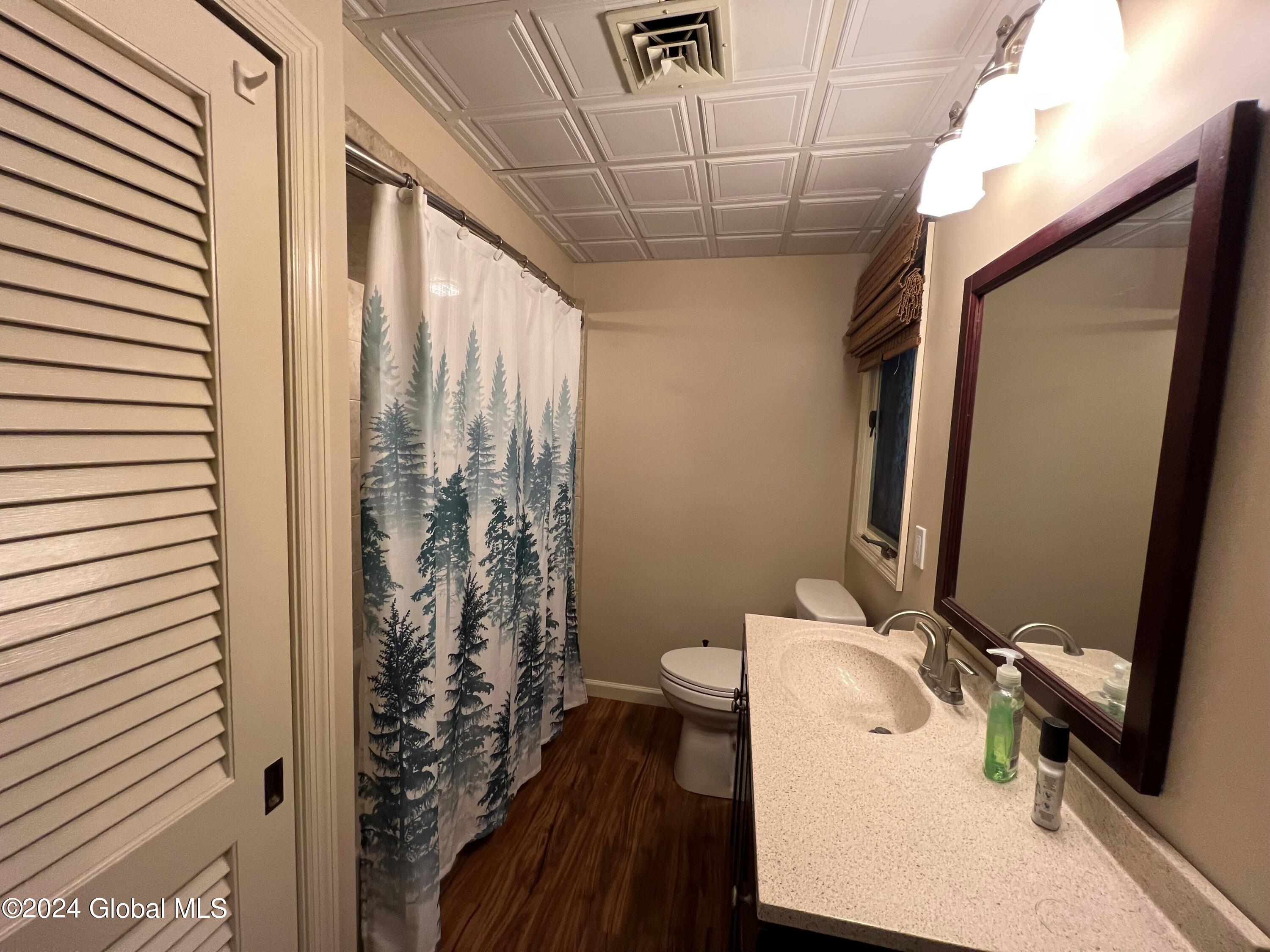 4 Bloomer Road Voorheesville, NY 12186 - Photo 11 of 29 bathroom 3